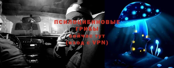мет Корсаков