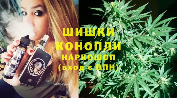 винт Костерёво