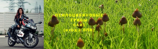 винт Костерёво
